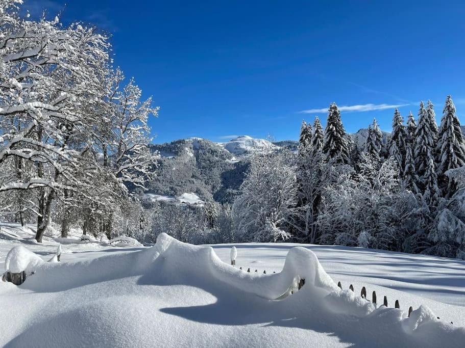 Chalet Alpage Proche Geneve Megevette Екстер'єр фото