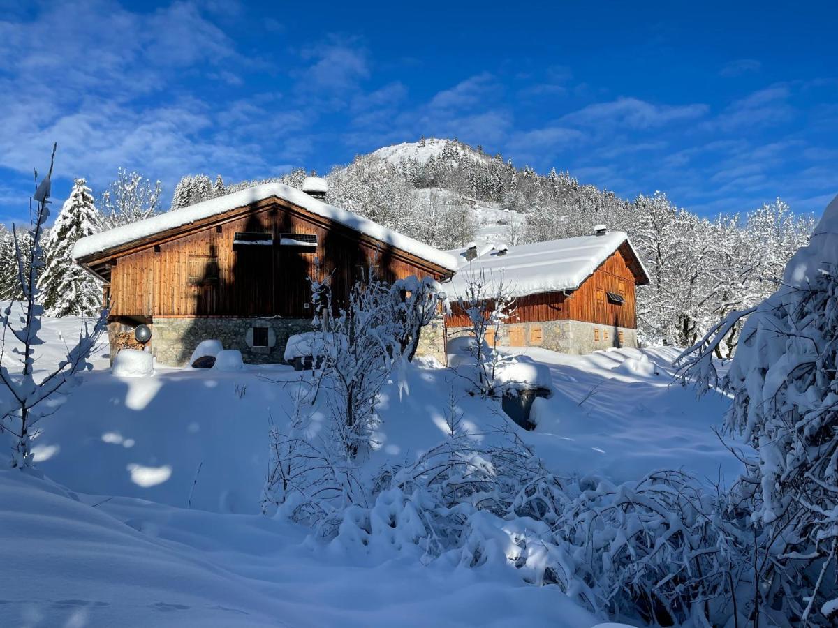 Chalet Alpage Proche Geneve Megevette Екстер'єр фото