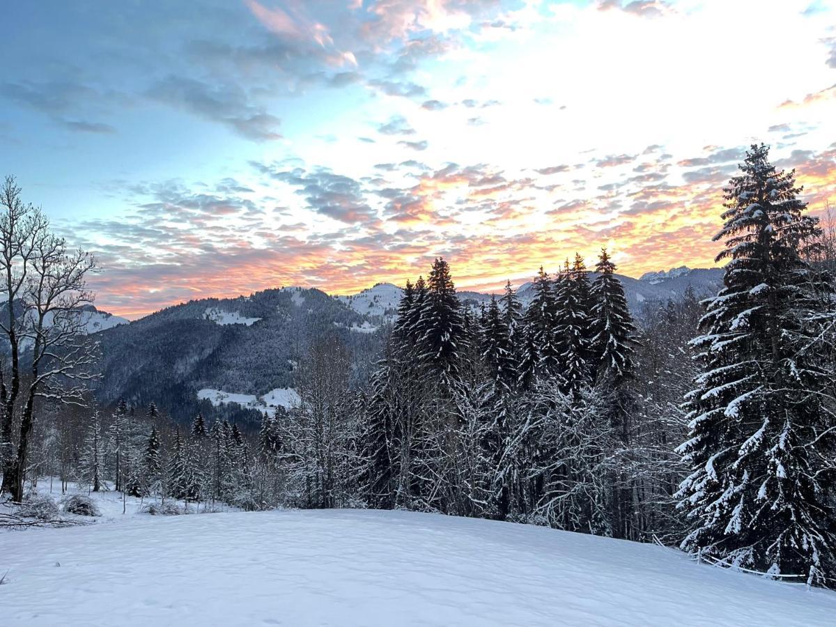 Chalet Alpage Proche Geneve Megevette Екстер'єр фото